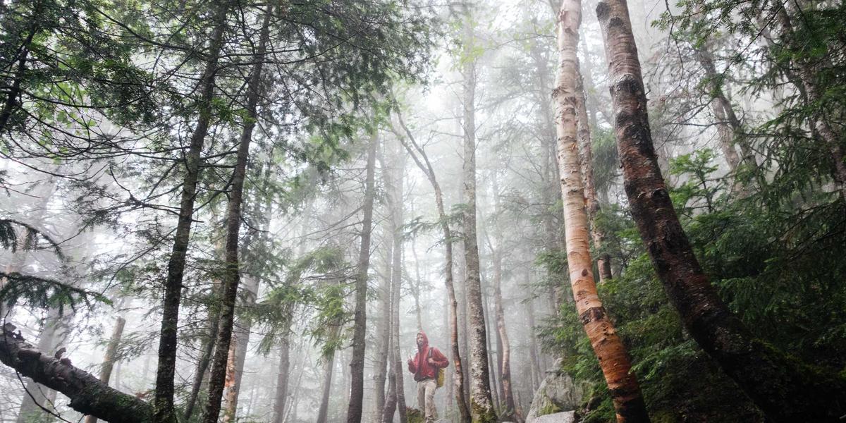 Dan otvorenih vrata u Fondu za inovacije — Upoznajte tim